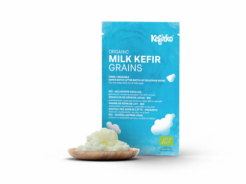 Kefirko Bio Milch Körner 1 g (getrocknet)