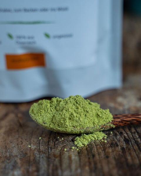 Bio Kürbiskern Protein 350g